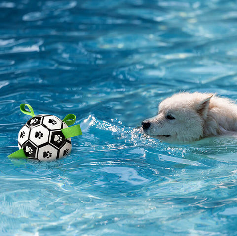 Dog Soccer Ball